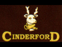 Cinderford Band