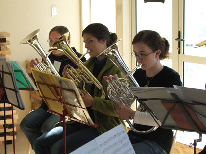 tenor horns