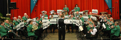 Levin & Districts Brass
