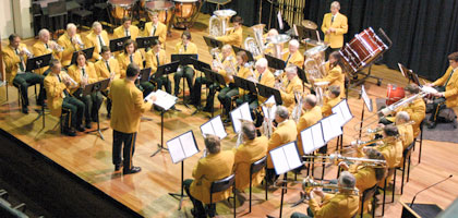 Nowra Town Band