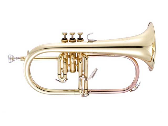 Flugel horn