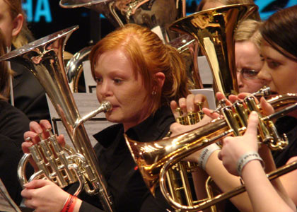 Tertnes Brass horns