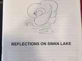 Score Cover: Test Piece: 'Reflections on Swan Lake' - Stephen Roberts