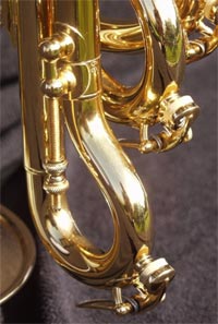 Flip Oaked Wild Thing Cornet - close up