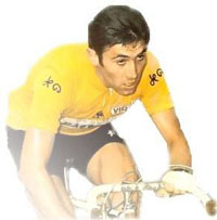 Merckx