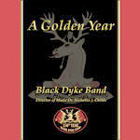 CD cover - A Golden Year