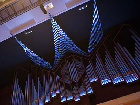 De Doelen Organ