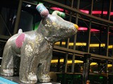 A ‘Great North Snowdog’ in the Sage