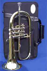 Virtuosi