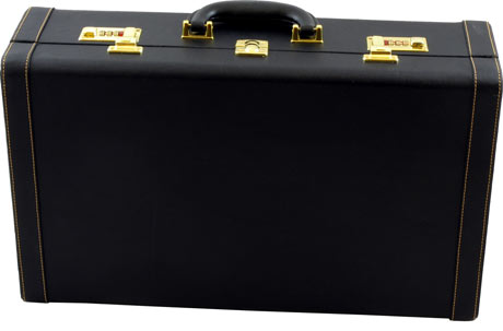 Trumpet case